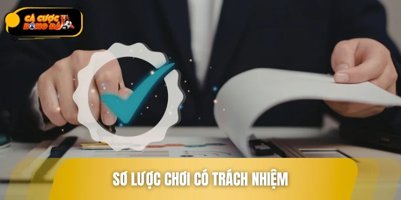Sơ lược chơi có trách nhiệm