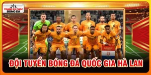 đội tuyển bóng đá quốc gia Hà Lan