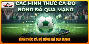 Hình thức cá độ bóng đá qua mạng