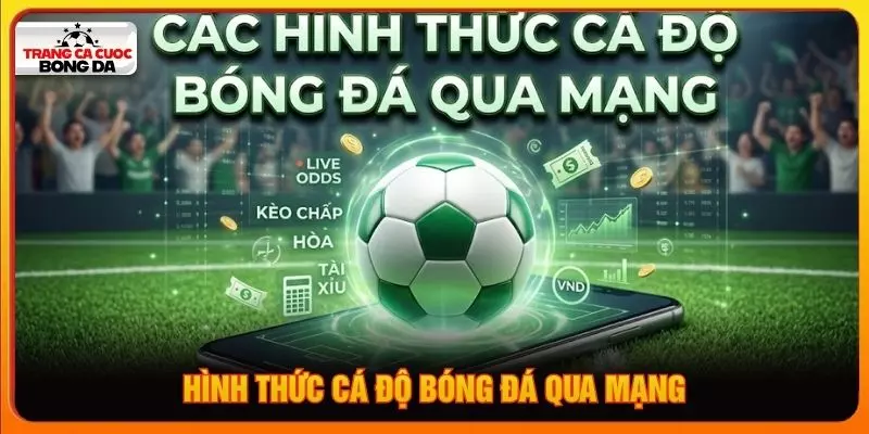 Hình thức cá độ bóng đá qua mạng
