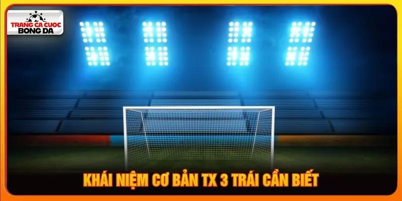 Khái niệm cơ bản tx 3 trái cần biết