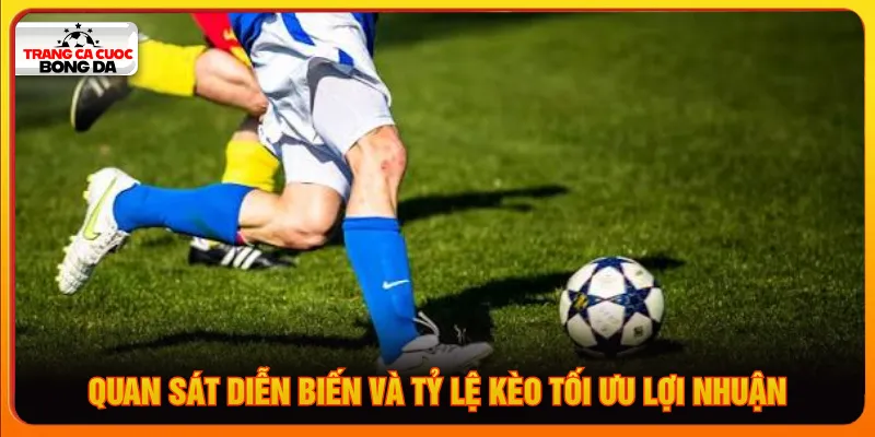Cập nhật biến động tỷ lệ để chọn thời điểm hiệu quả