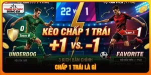 chấp 1 trái là gì