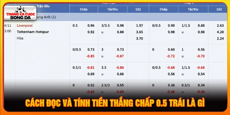 Người chơi cần biết tỷ lệ thưởng kèo để cá cược dễ thắng