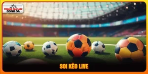 Soi kèo live
