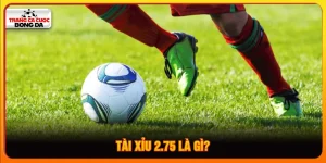 tài xỉu 2.75 là gì