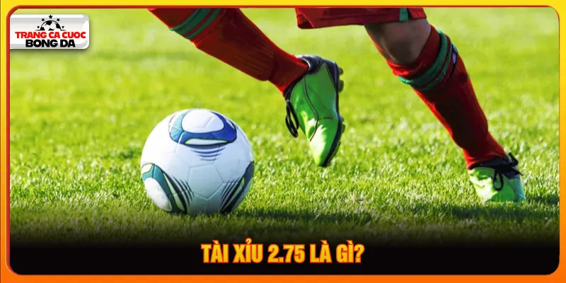 tài xỉu 2.75 là gì