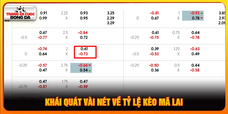 Tỷ lệ kèo Mã Lai phổ biến tại thị trường cược châu Á